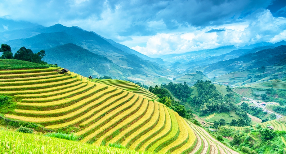 Day 4: Mai Chau - Pu Luong (Breakfast, Lunch, Dinner)